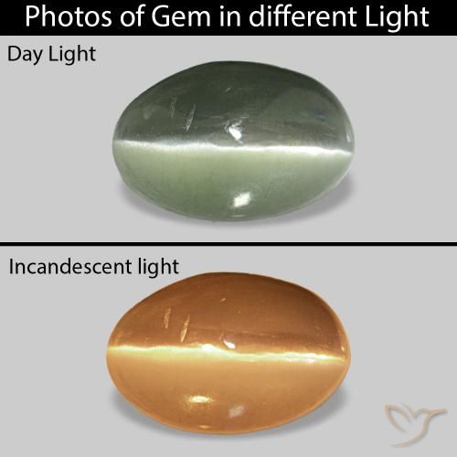 0.73ct Verde gris Cat's Eye Alexandrite, Ovalada, Opaco