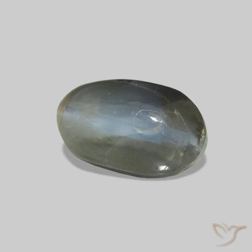 Cat's Eye Alexandrite Gris verdoso pálido natural de 1.25 ct, Ovalada, Opaco