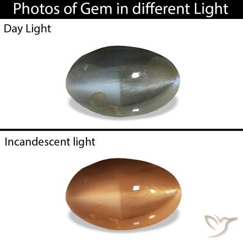 Cat's Eye Alexandrite Gris verdoso pálido natural de 0.51 ct, Ovalada, Opaco