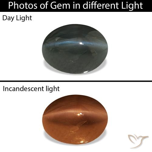 Cat's Eye Alexandrite Gris acero natural de 0.96 ct, Ovalada, Opaco