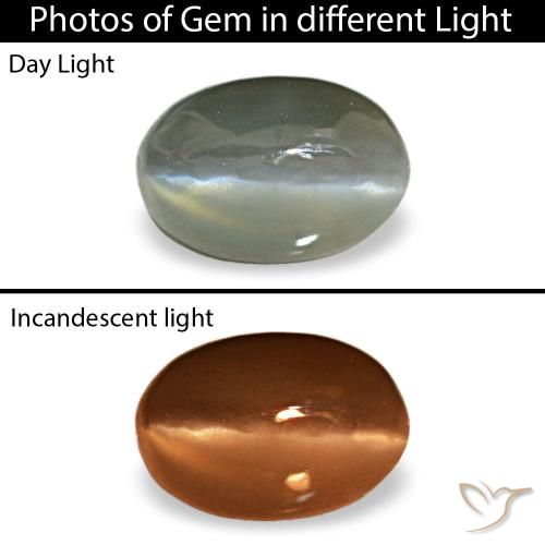 Cat's eye alexandrite gris natural de 0,50 ct, corte óvalo, opaco