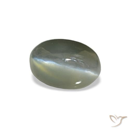 Cat's eye alexandrite gris natural de 0,50 ct, corte óvalo, opaco