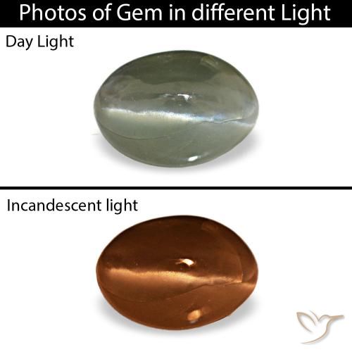 Cat's eye alexandrite gris natural de 0,49 ct, corte óvalo, opaco