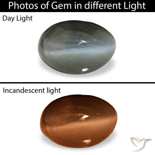 Cat's eye alexandrite gris natural de 0,56 ct, corte óvalo, opaco