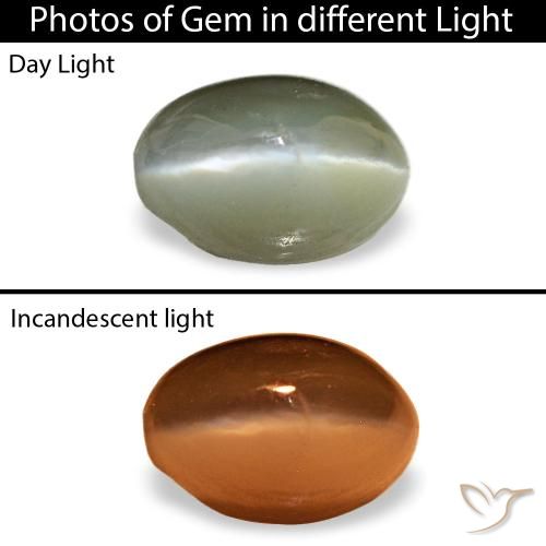 Cat's eye alexandrite verde natural de 0,59 ct, corte óvalo, opaco