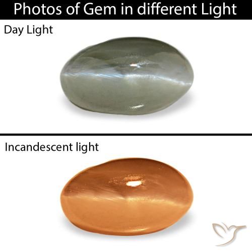 Cat's eye alexandrite verde natural de 0,50 ct, corte óvalo, opaco
