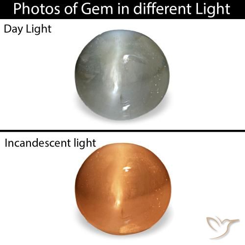 Cat's eye alexandrite gris de 0,51 ct, ovalado, opaco