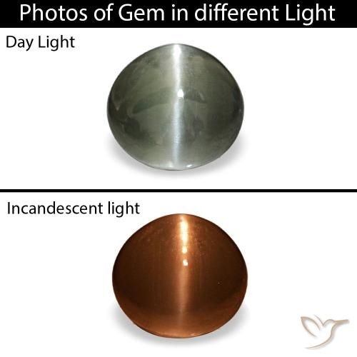 Cat's eye alexandrite gris natural de 0,42 ct, corte óvalo, opaco