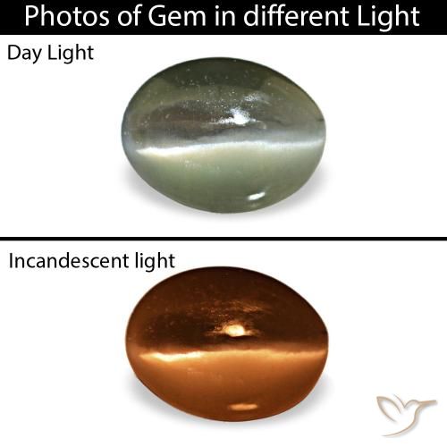 Cat's eye alexandrite gris natural de 0,42 ct, corte óvalo, opaco