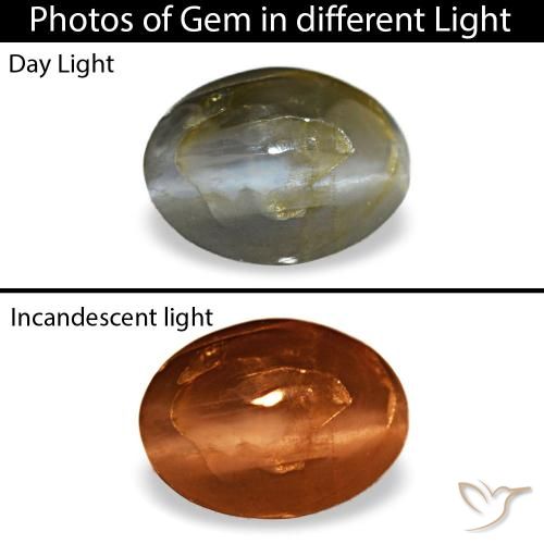 Cat's eye alexandrite gris natural de 0,48 ct, corte óvalo, opaco