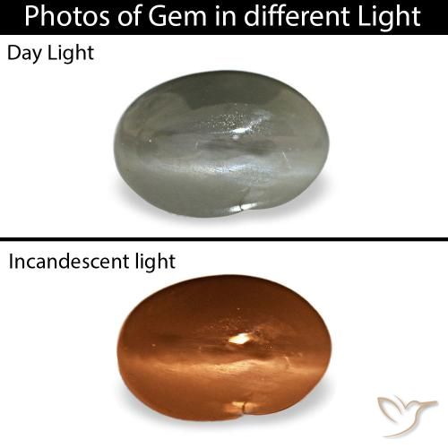 Cat's eye alexandrite gris natural de 0,35 ct, corte óvalo, opaco