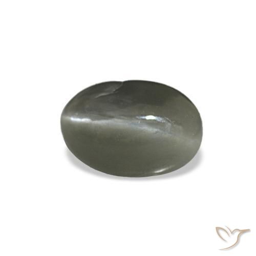 Cat's eye alexandrite gris natural de 0,35 ct, corte óvalo, opaco