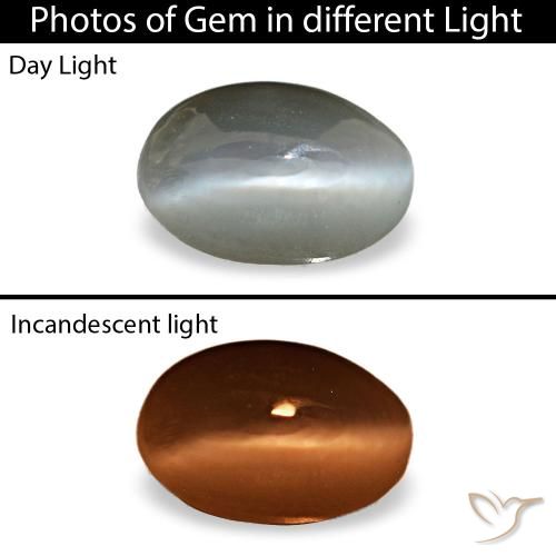 Cat's eye alexandrite gris de 0,33 ct, ovalado, opaco