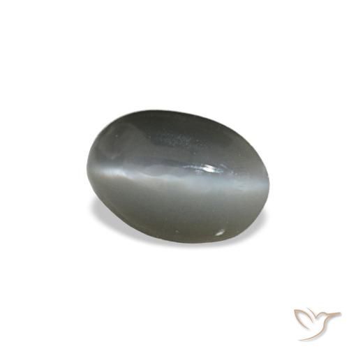 Cat's eye alexandrite gris natural de 0,33 ct, corte óvalo, opaco