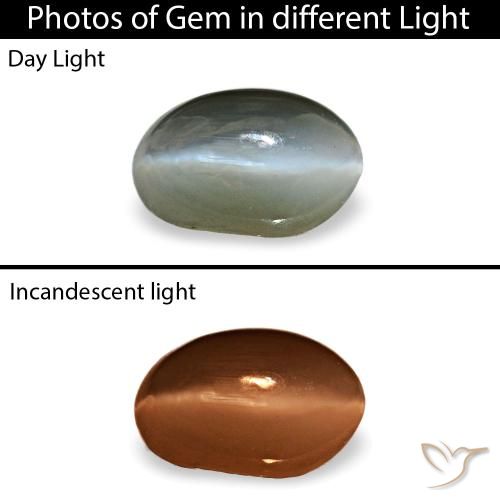 Cat's eye alexandrite gris natural de 0,40 ct, corte óvalo, opaco