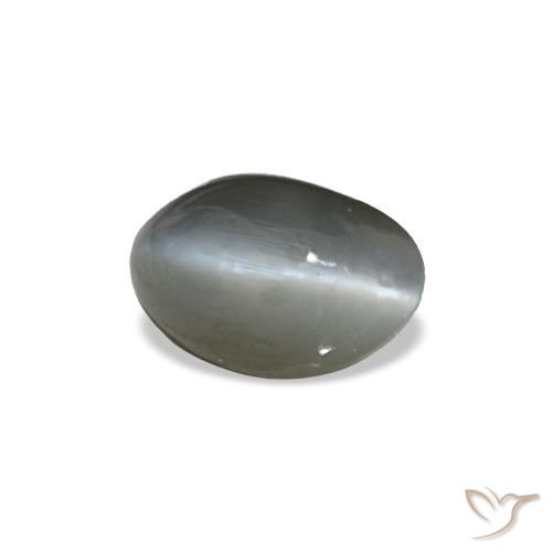 Cat's eye alexandrite gris natural de 0,40 ct, corte óvalo, opaco