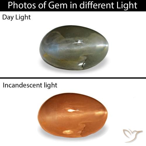 Cat's eye alexandrite gris natural de 0,46 ct, corte óvalo, opaco
