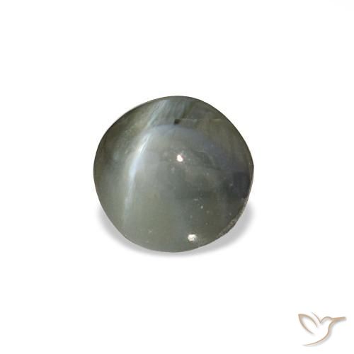Cat's eye alexandrite gris natural de 0,85 ct, corte redondo, opaco