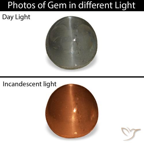 Cat's eye alexandrite gris natural de 0,80 ct, corte óvalo, opaco