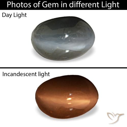 Cat's eye alexandrite gris natural de 0,45 ct, corte óvalo, opaco