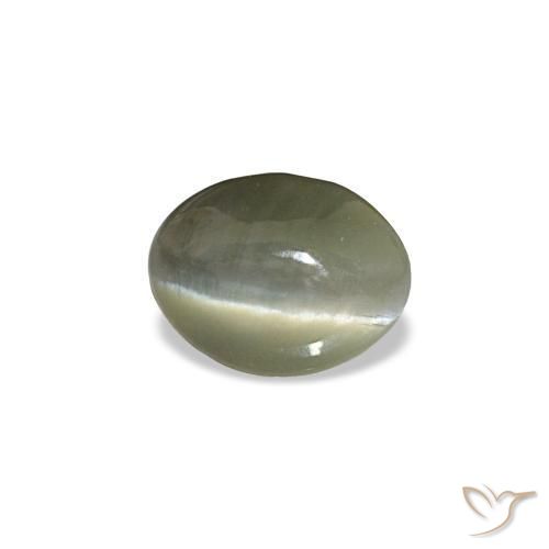 Cat's eye alexandrite gris natural de 0,44 ct, corte óvalo, opaco