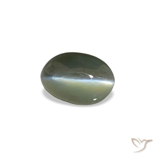 Cat's eye alexandrite gris natural de 0,50 ct, corte óvalo, opaco