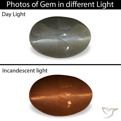 Cat's eye alexandrite gris natural de 0,47 ct, corte óvalo, opaco