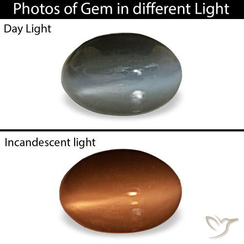Cat's eye alexandrite gris natural de 0,50 ct, corte óvalo, opaco