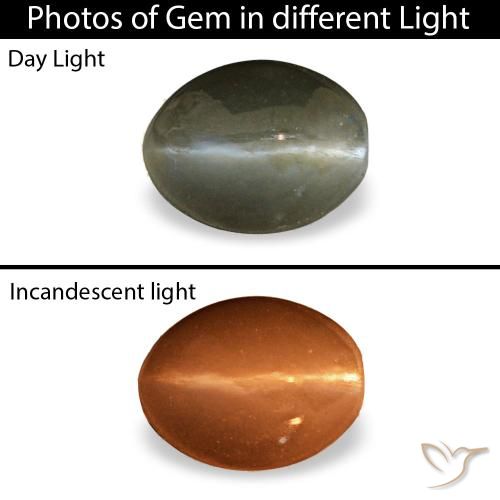 Cat's eye alexandrite gris de 0,45 ct, ovalado, opaco