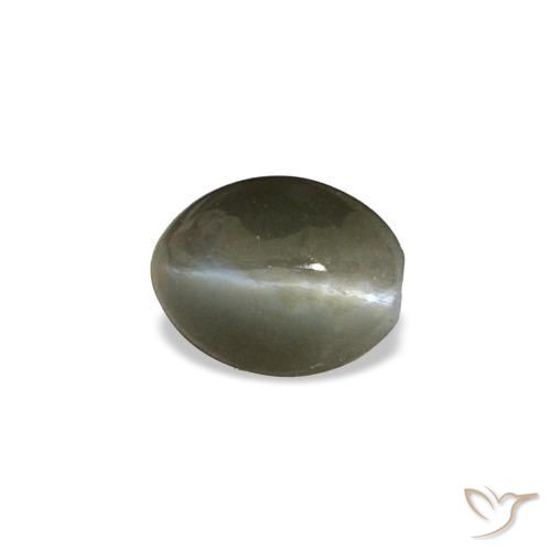 Cat's eye alexandrite gris natural de 0,45 ct, corte óvalo, opaco