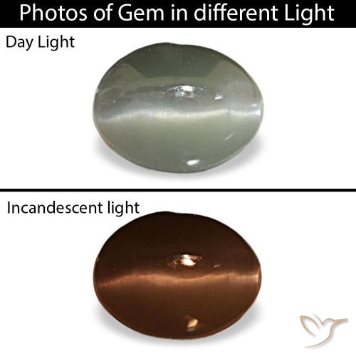Cat's eye alexandrite gris de 1,03 ct, ovalado, opaco