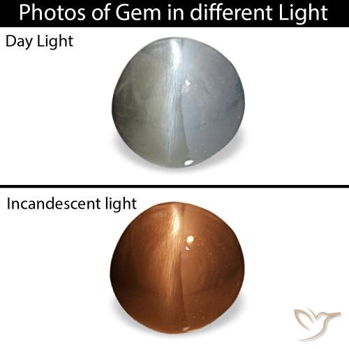 Cat's eye alexandrite gris natural de 0,88 ct, corte óvalo, opaco