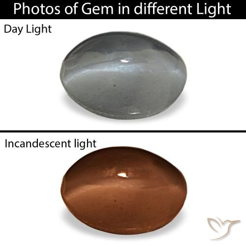 Cat's eye alexandrite gris natural de 1,03 ct, corte óvalo, opaco