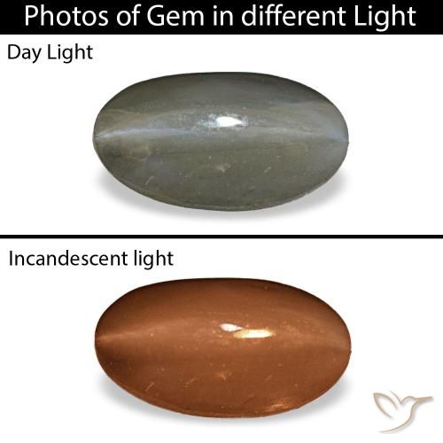 Cat's eye alexandrite gris de 1,01 ct, ovalado, opaco