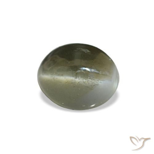 Cat's eye alexandrite gris natural de 0,64 ct, corte óvalo, opaco