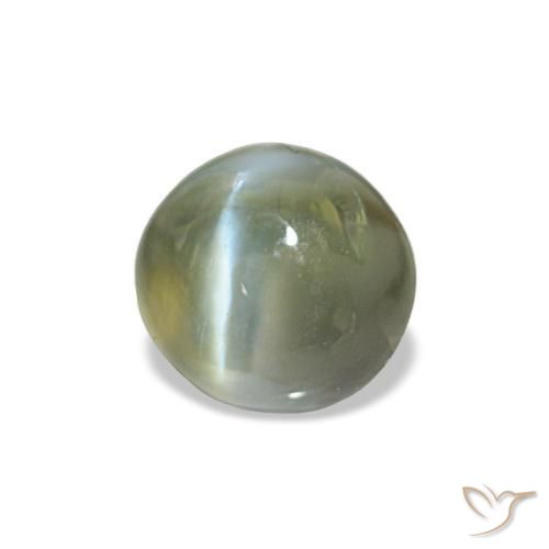 Cat's eye alexandrite verde natural de 0,60 ct, corte óvalo, opaco
