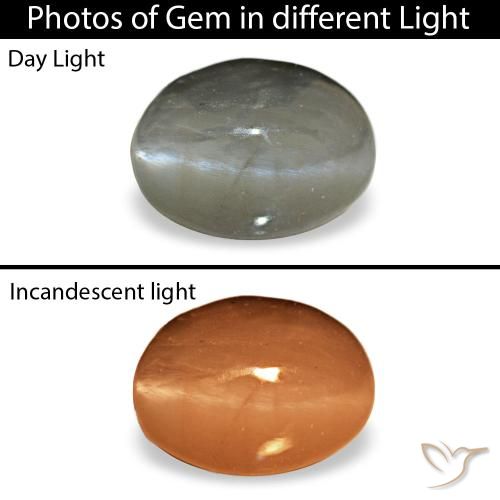 Cat's eye alexandrite gris natural de 0,72 ct, corte óvalo, opaco