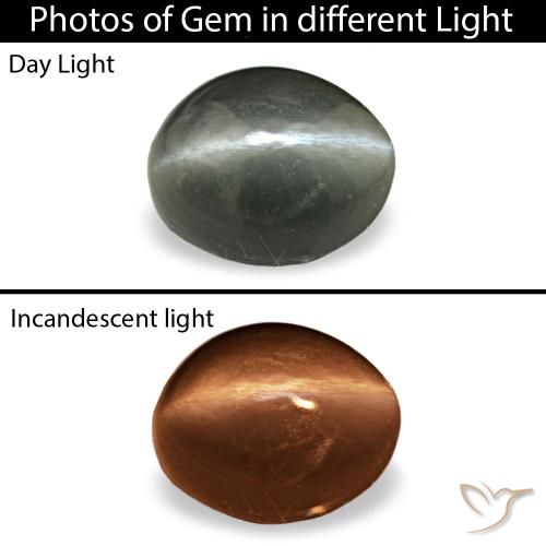 Cat's eye alexandrite gris de 0,34 ct, ovalado, opaco