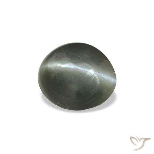 Cat's eye alexandrite gris natural de 0,34 ct, corte óvalo, opaco