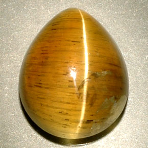 Cat's eye apatite amarillo natural de 4,94 ct, transparente, transparente / translúcido