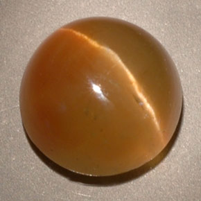 Cat's eye apatite amarillo natural de 3,62 ct, transparente, transparente / translúcido