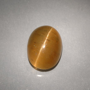 Cat's eye apatite amarillo natural de 3,94 ct, transparente, transparente / translúcido