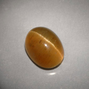 Cat's eye apatite amarillo natural de 3,94 ct, transparente, transparente / translúcido