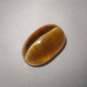 Cat's eye apatite amarillo natural de 4,93 ct, transparente, transparente / translúcido