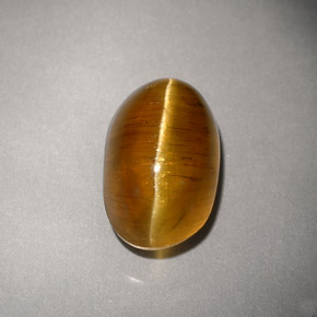 Cat's eye apatite amarillo natural de 4,93 ct, transparente, transparente / translúcido