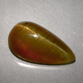 Apatita Ojo de Gato Miel natural de 2.89 ct, En forma de pera, Translúcido