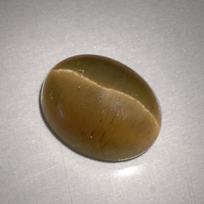 Cat's eye apatite amarillo natural de 3,11 ct, corte óvalo, translúcido
