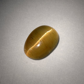Cat's eye apatite amarillo natural de 3,01 ct, corte óvalo, translúcido