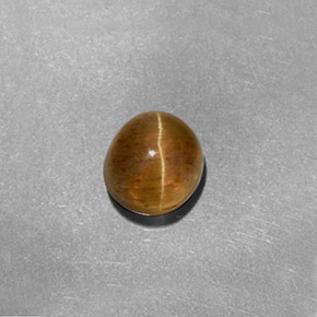 Cat's eye apatite amarillo natural de 1,61 ct, corte óvalo, translúcido