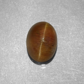 Apatita Ojo de Gato Miel natural de 2.32 ct, Corte Óvalo, Translúcido